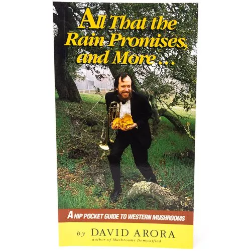 All That the Rain Promises and More