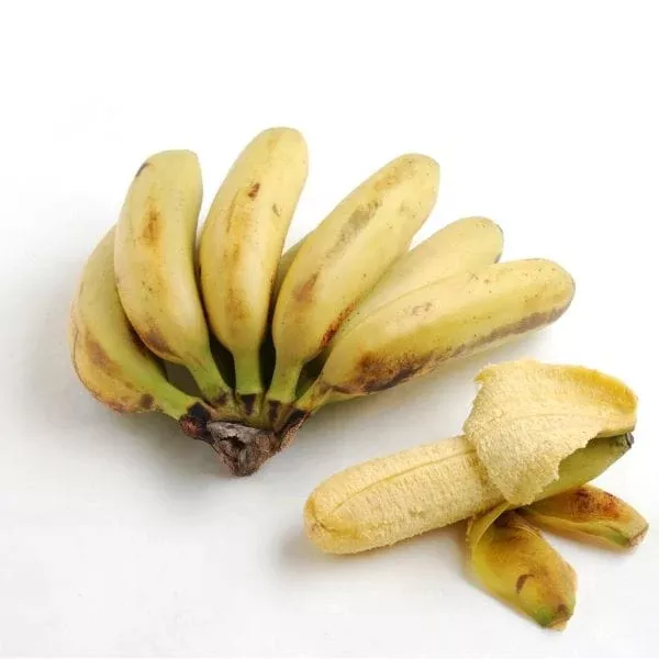 Baby Bananas