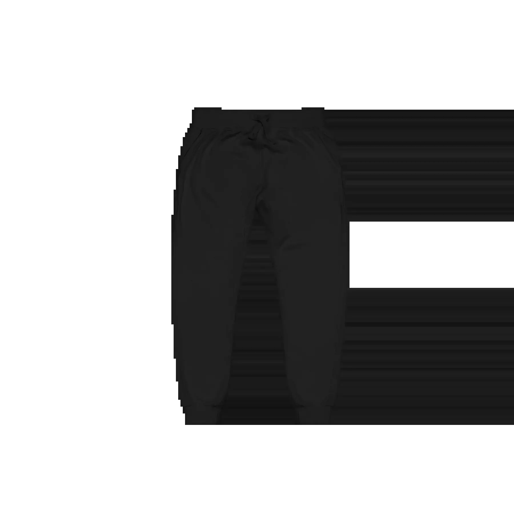 Black Fleece Sweatpants