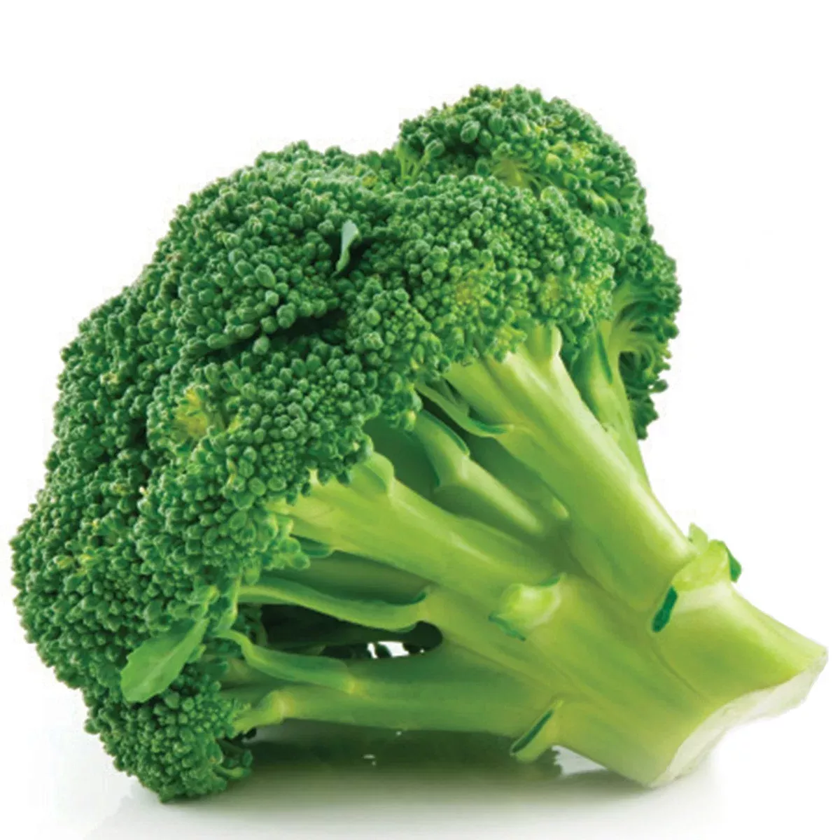 Broccoli Extract Water Soluble