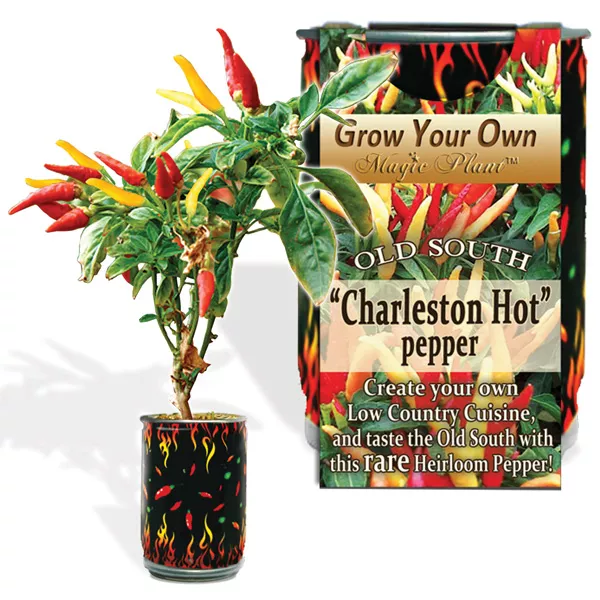 Charleston Hot Growing kit | Chili Growing Kit