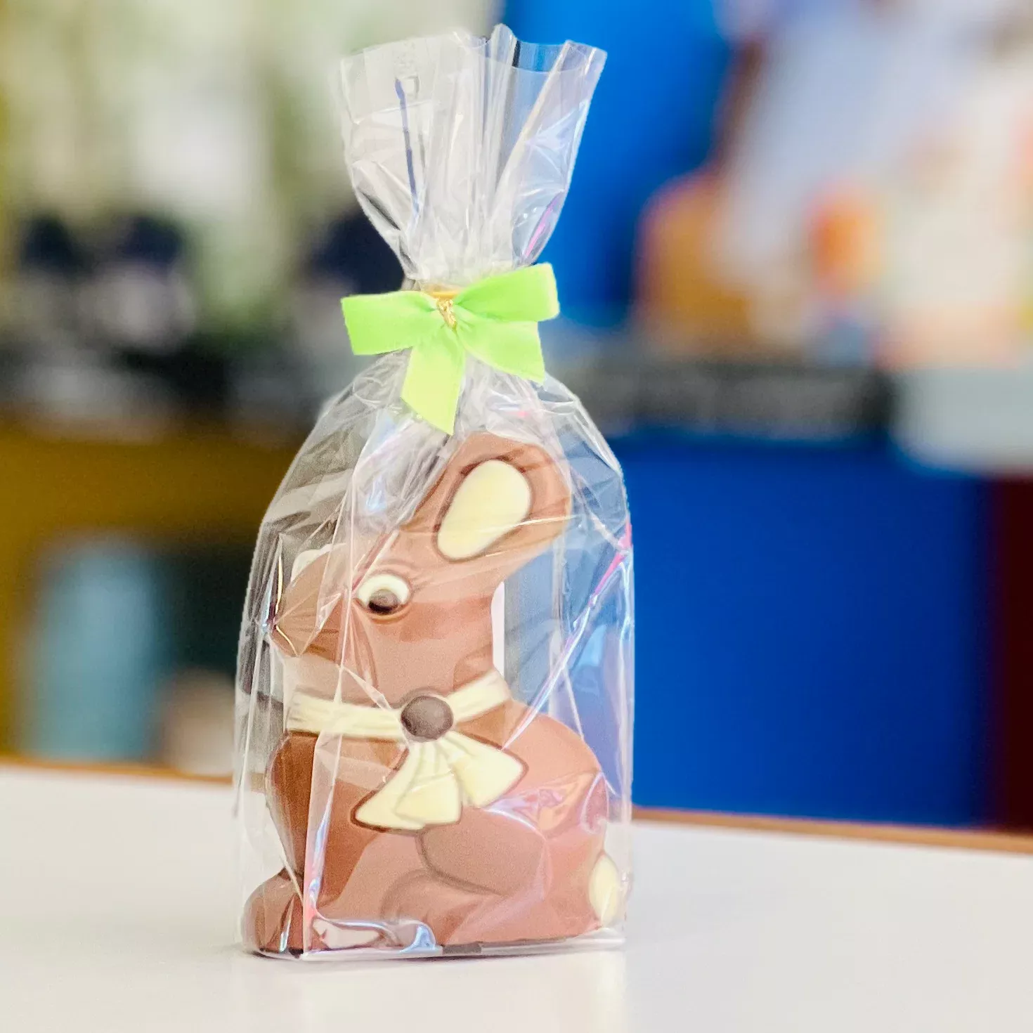 Chocolate Bunny with Ribbon