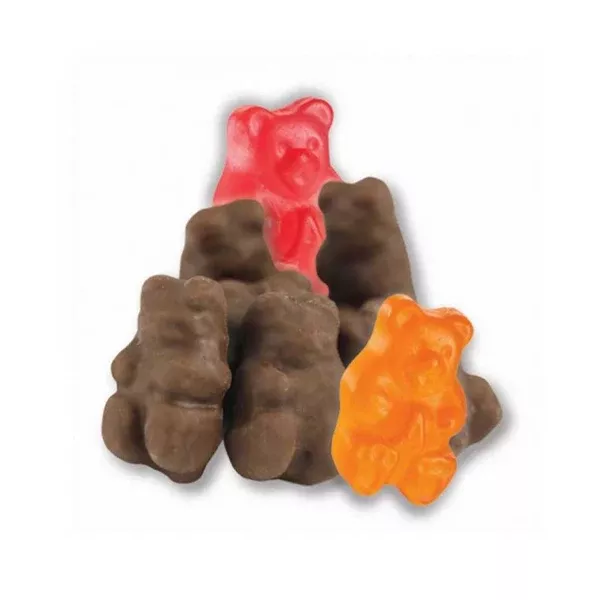 Chocolate Covered Gummi Bears