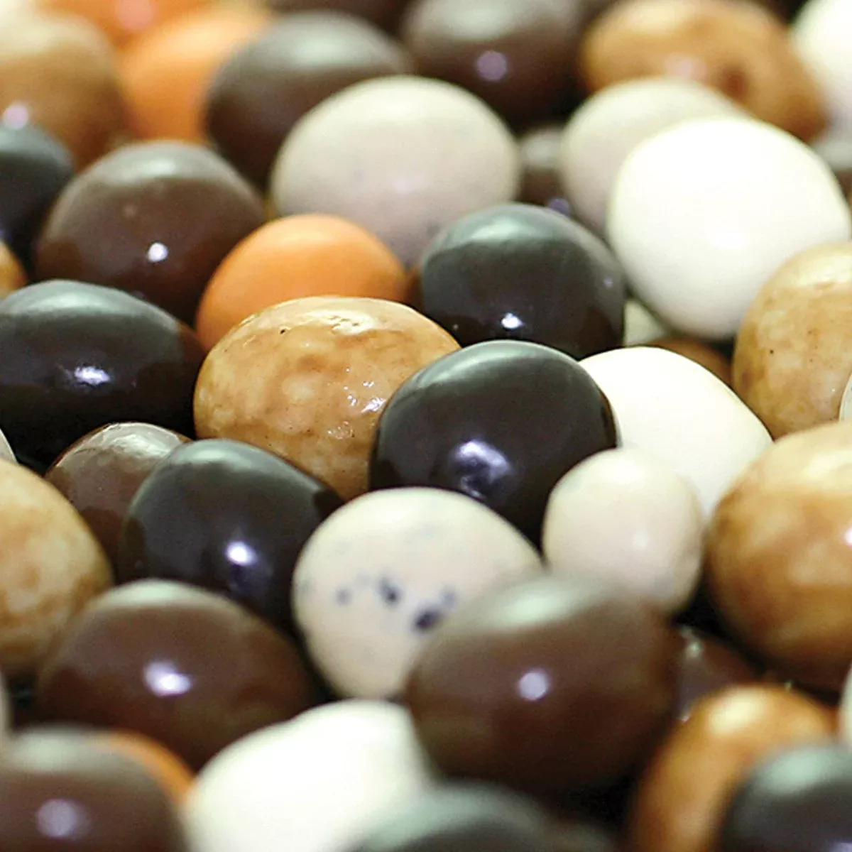 Chocolate Covered Multi-Color Espresso Coffee Beans
