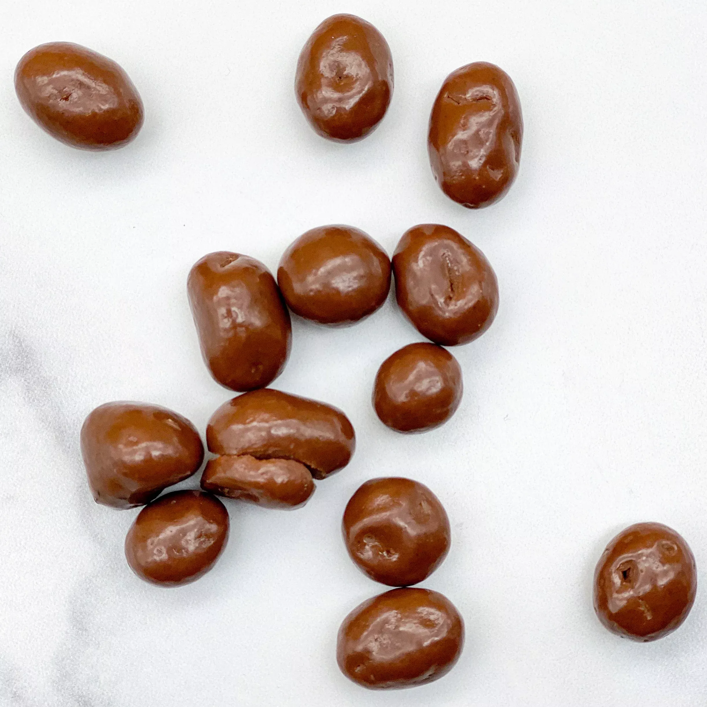 Chocolate Covered Raisins