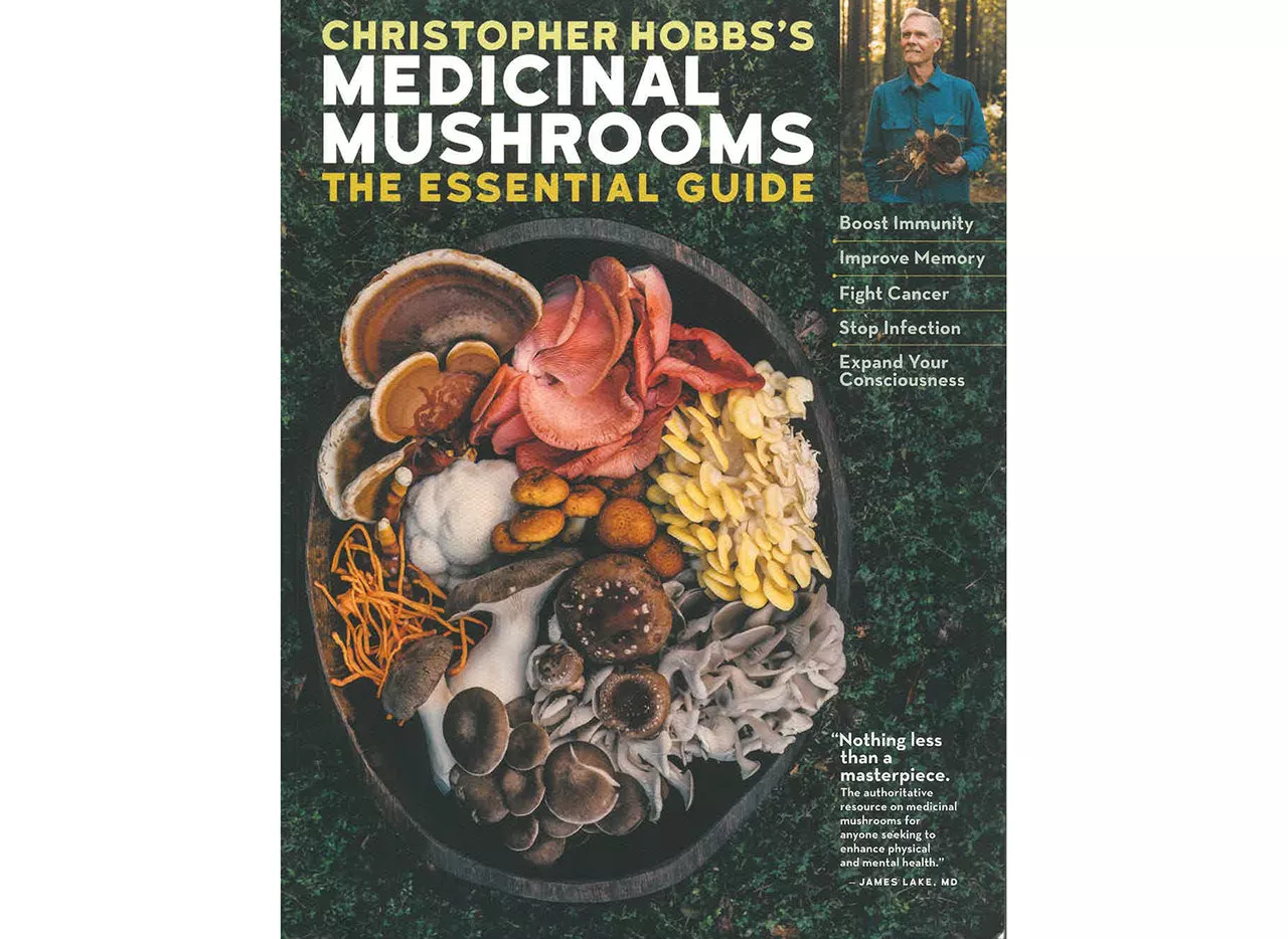 Christopher Hobbs's Medicinal Mushrooms: The Essential Guide