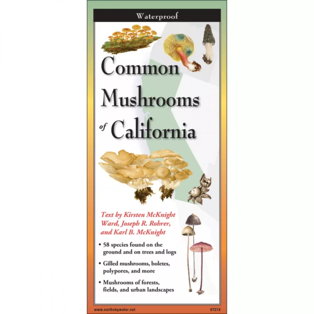 Common Mushrooms of California Folding Guide