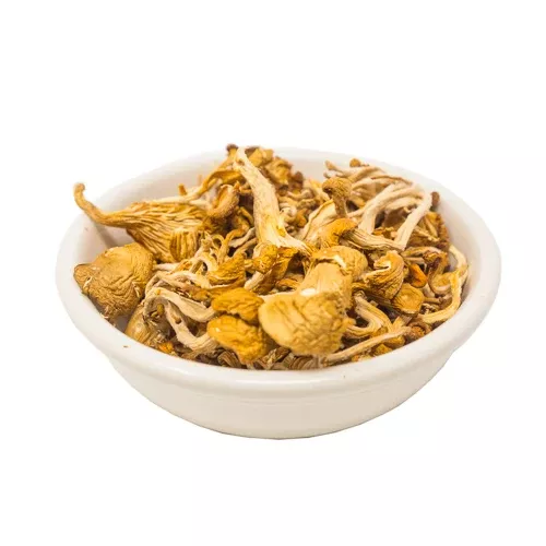 Dried Yellowfoot