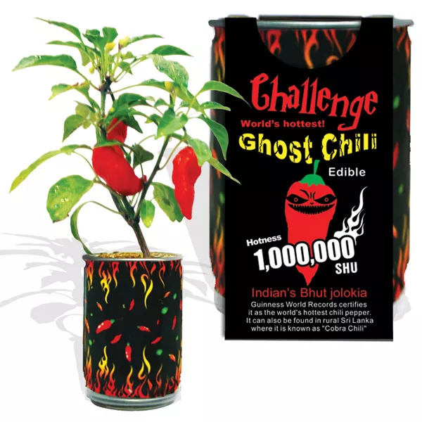Ghost Pepper Growing Kit |Bhut Jolokia Growing Kit