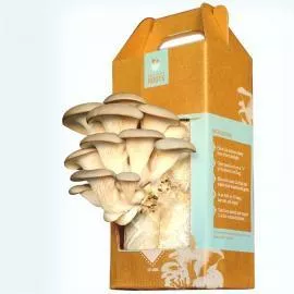 Gourmet Mushroom Kit