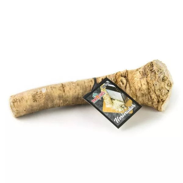 Horseradish Root