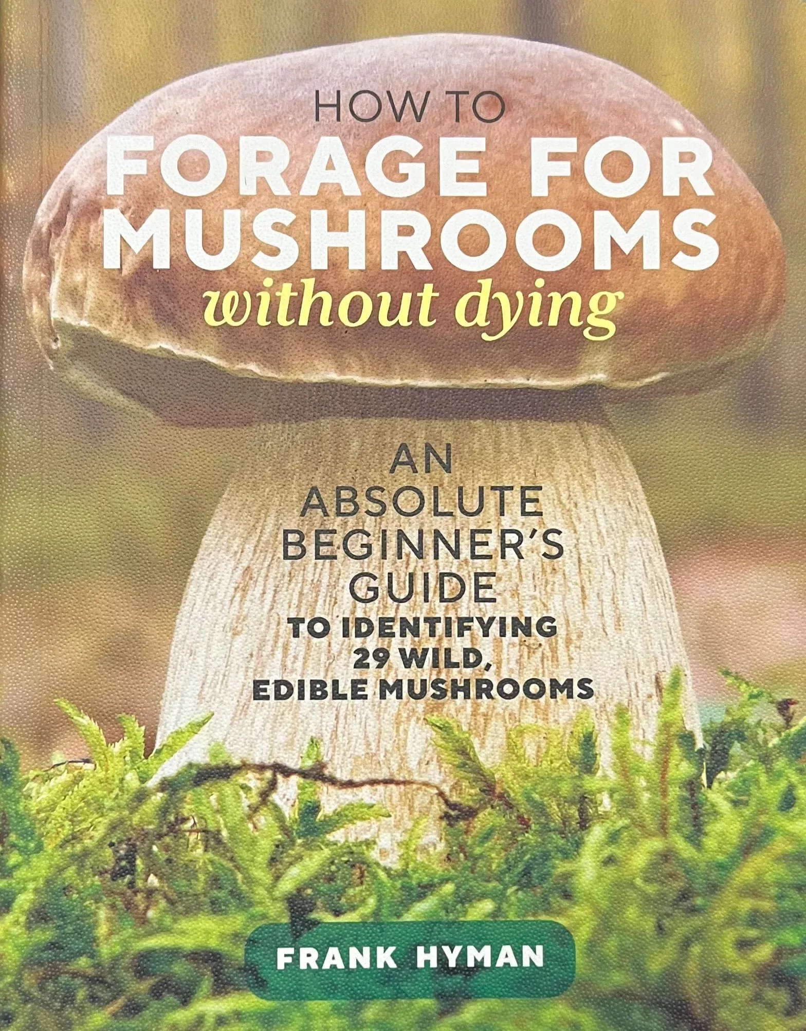 How to Forage for Mushrooms Without Dying