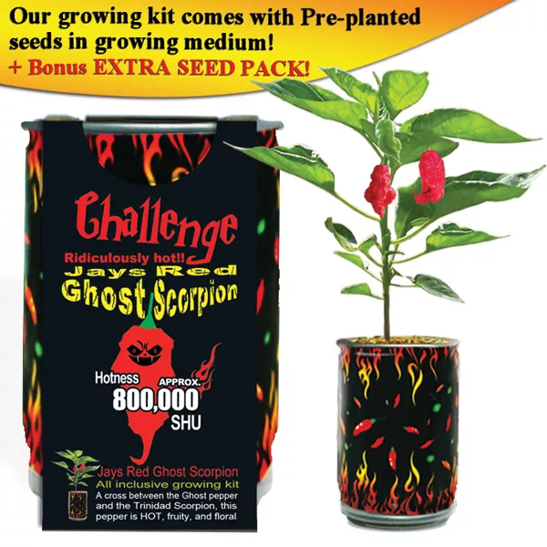 Jays Red Ghost Scorpion Growing Kit