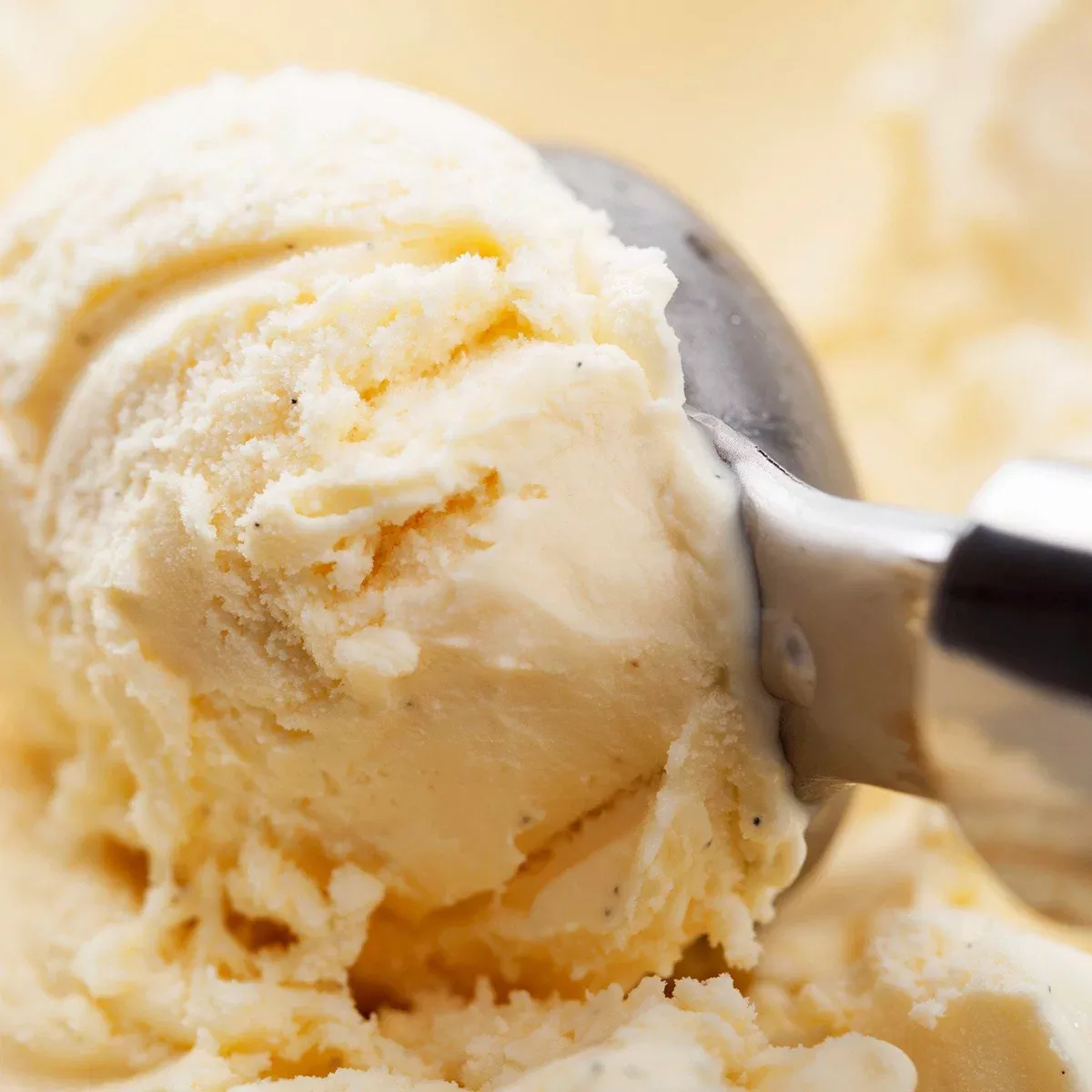 Madagascar Bourbon Vanilla Ice Cream Marbleizing Swirl