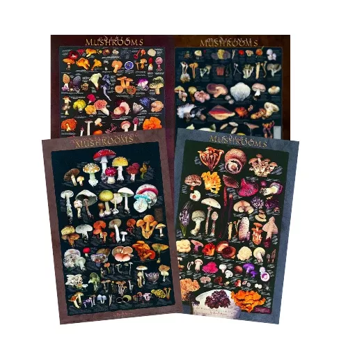 Mushroom Poster Bundle - Artwork by David Aurora