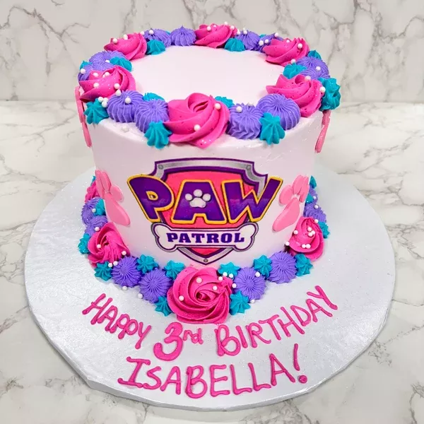 Paw Patrol Cake Skye Version (3 layer)