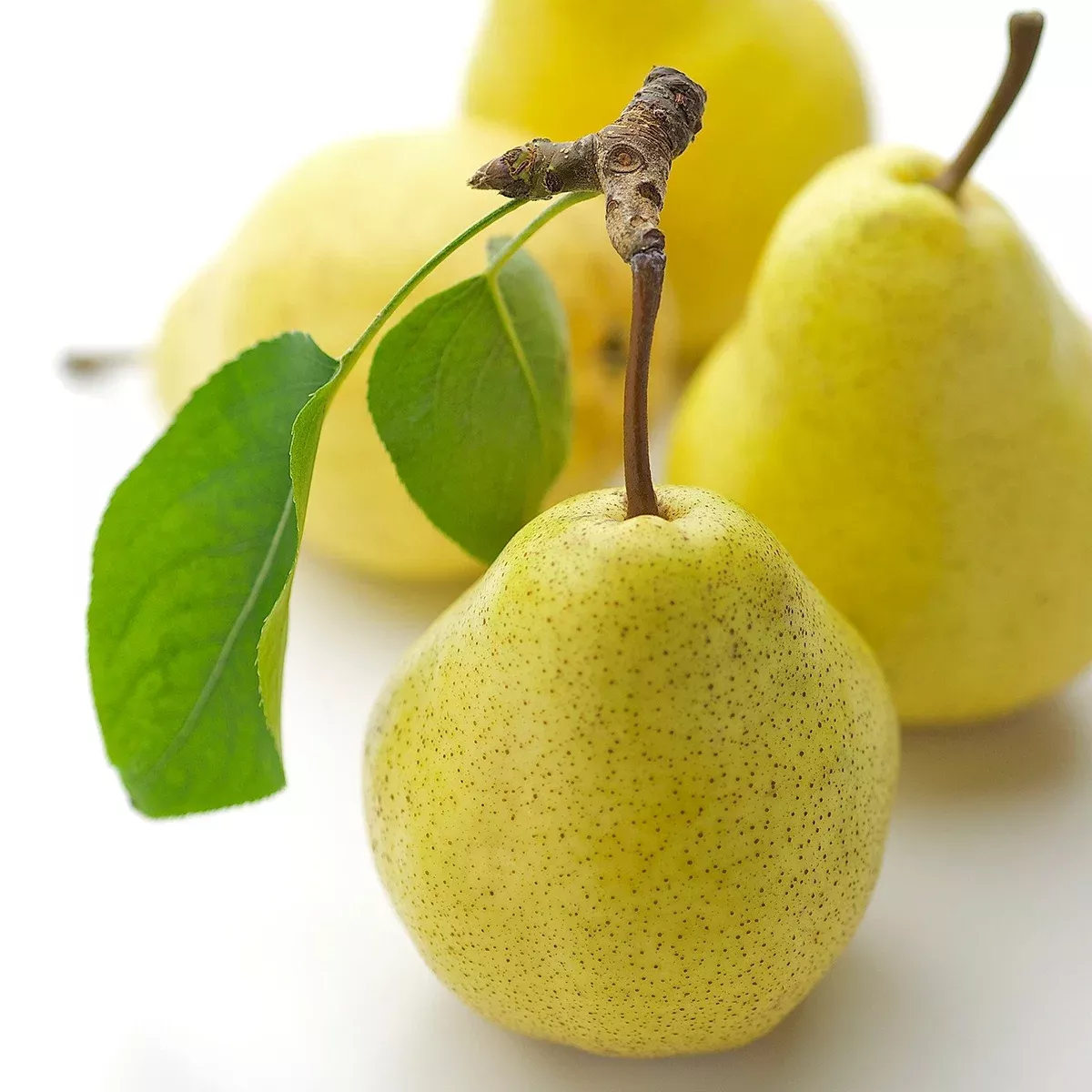 Pear Williams Liqueur Concentrate