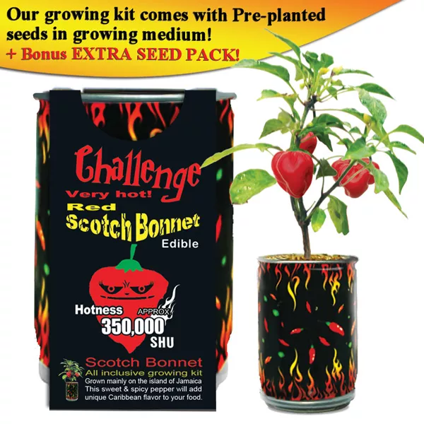 Red Scotch Bonnet Growing Kit