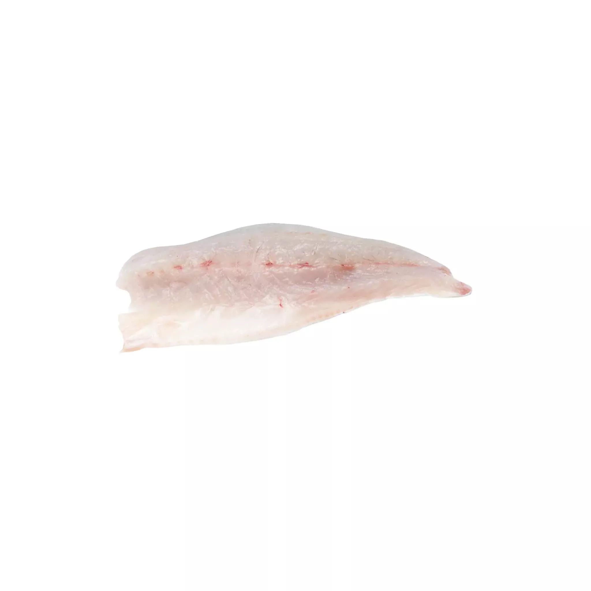 Spain Branzino Wild Caught (Filet)