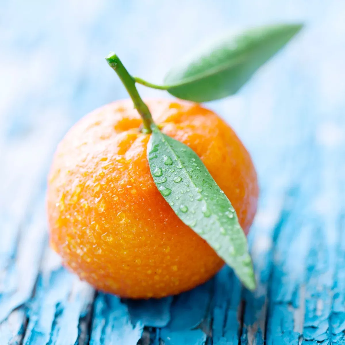 Tangerine Dessert Sauce