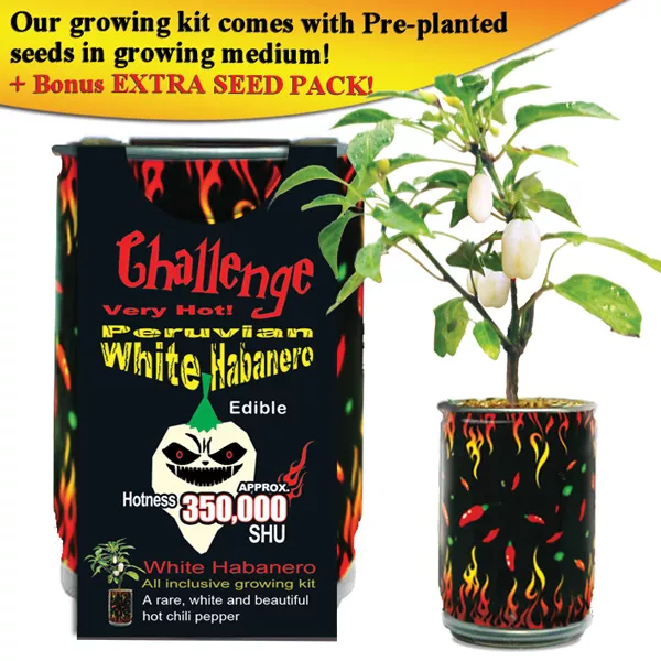 White Habanero Growing Kit